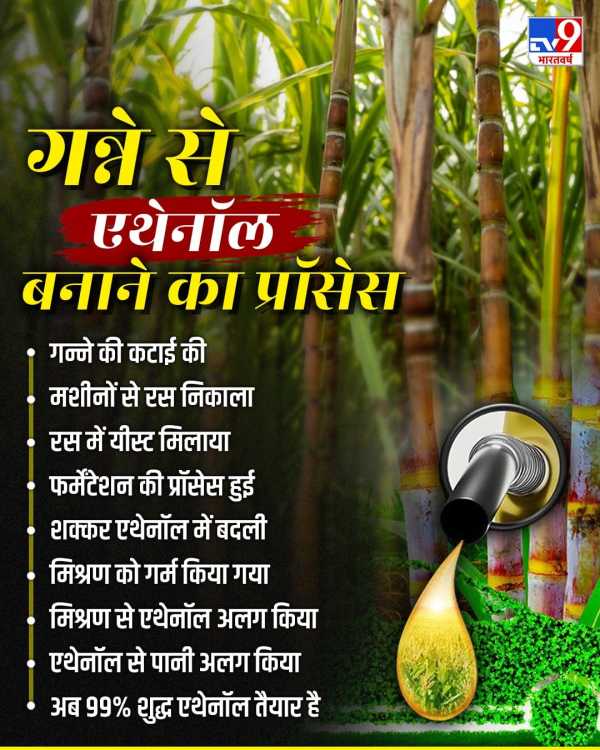 Ethanol Making Process How Sugarcane Juice Converted Into Biofuel Petrol With Up To 30 Percent