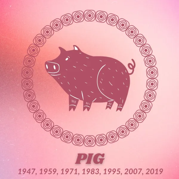 pig chinese zodiac signs luck good fortune may 21 2026