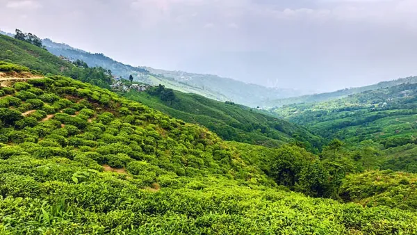 दार्जिलिंग