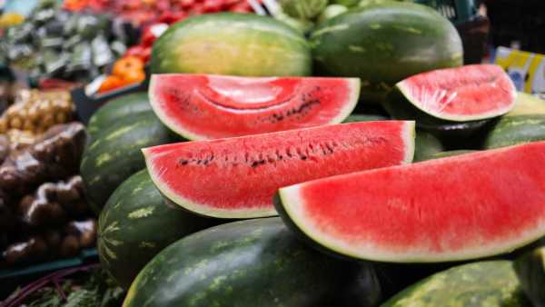 Watermelon Production In India