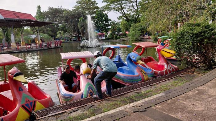 taman mas kemambang banyumas bebek air