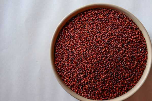 Ragi