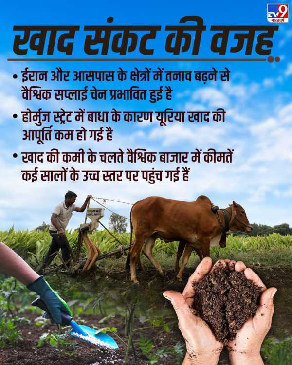 Fertilizers