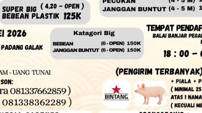 LOMBA - Untuk pengirim terbanyak minimal 25 layangan atas 1 nama sekaa (kecuali katagori mini) akan mendapatkan 1 karton bir bintang, kucit (anak babi) , piala dan piagam. 