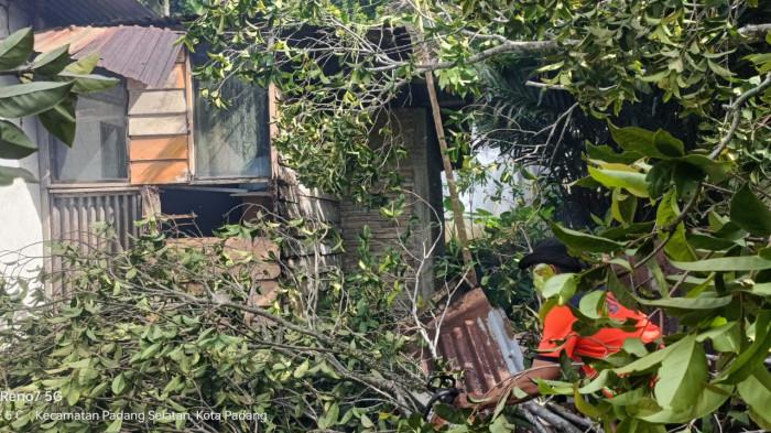 POHON TUMBANG - Sebuah pohon berukuran besar tumbang dan menimpa bagian dapur rumah milik warga di kawasan Padang Selatan, Kota Padang, Provinsi Sumatera Barat (Sumbar), Minggu (24/5/2025) pagi. Tidak ada korban jiwa pada kejadian tersebut.
