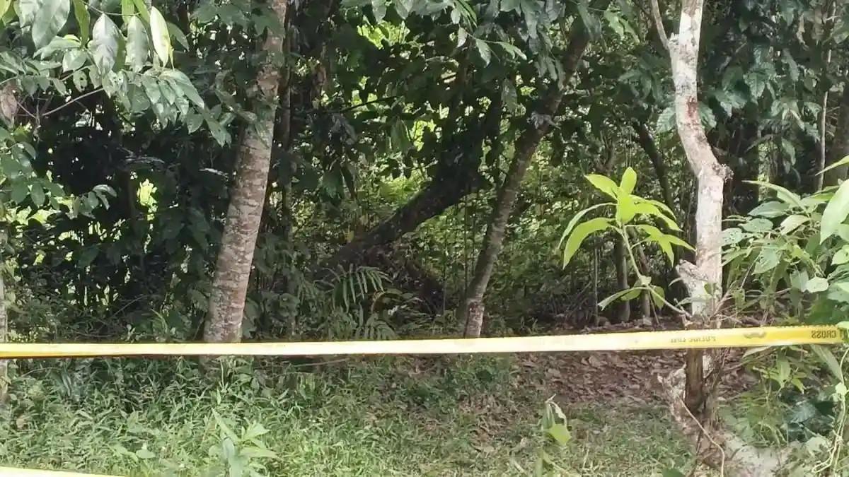 MAYAT DIGANTUNG DI BANTEN - Tempat kejadian perkara (TKP) penemuan mayat perempuan tergantung di sebuah pohon melinjo sekitar pukul 17.00 WIB di Lingkungan Pakel Pudak, Kelurahan Gelam, Kecamatan Cipocok Jaya, Kota Serang, Banten, pada Senin (18/5/2026).