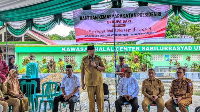 Gubernur Gorontalo Gusnar Ismail serahkan sapi kurban bantuan 9999dddd88