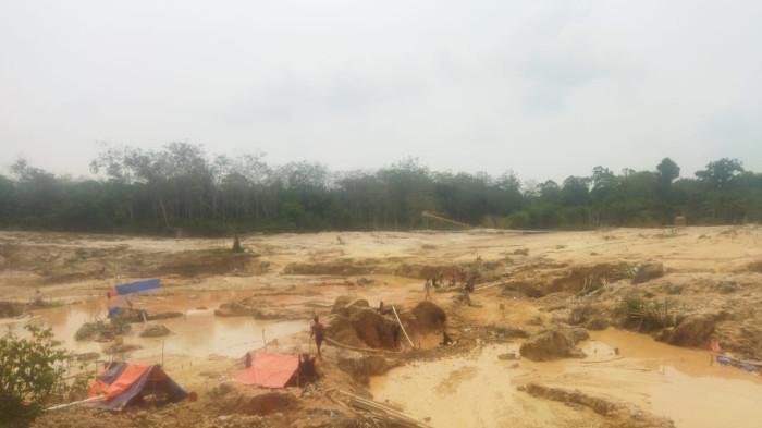 DIRUSAK PENAMBANG EMAS ILEGAL - Kondisi lahan kebun Koperasi Tanjung Bungo di Desa Sungai Bengkal, Kecamatan Tebo Ilir, Kabupaten Tebo, yang rusak akibat ulah pelaku penambangan emas tanpa izin (PETI).