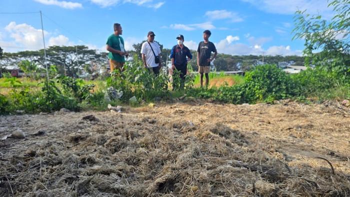 LIHAT KONDISI - Warga saat datang ke lokasi penjemuran limbah bulu ayam di kawasan pertanian di Desa Tojan, Senin (25/5/2026).
