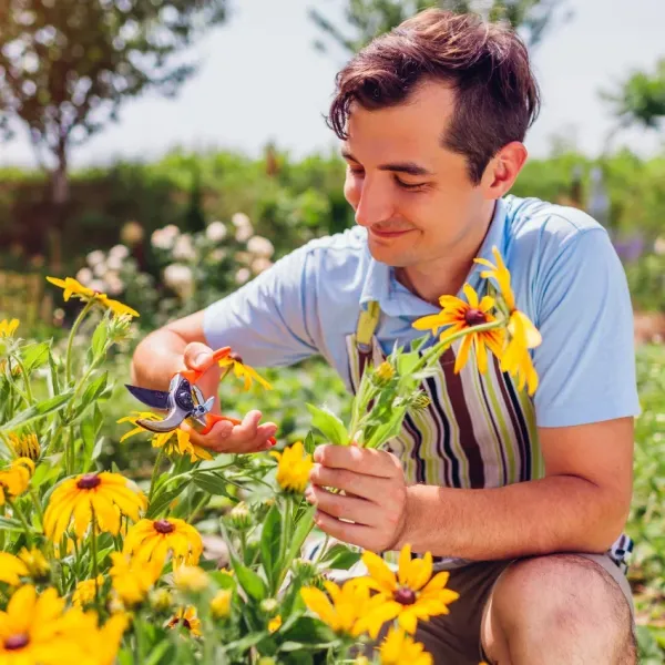 elder millennial in midlife crisis started gardening