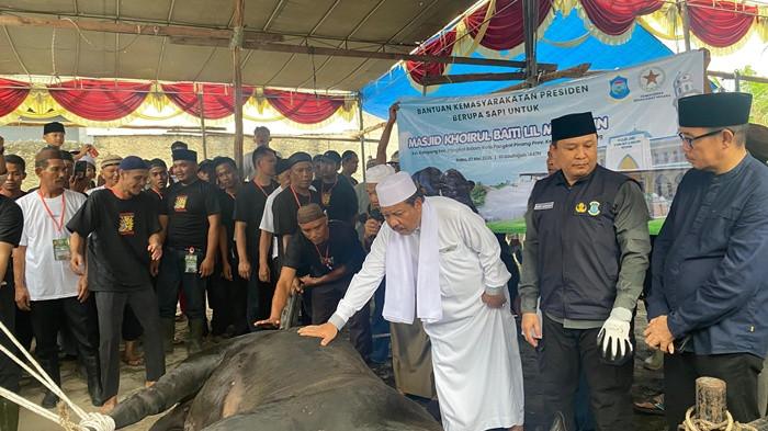 20260527 Prosesi penyembelihan sapi bantuan