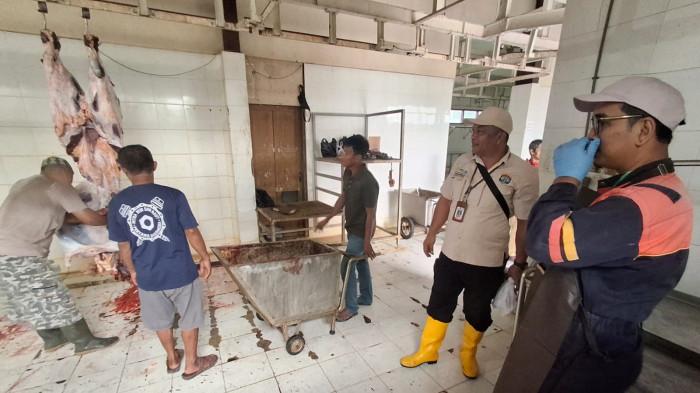 Pengawasan hewan kurban di Tarakan 02 27052026
