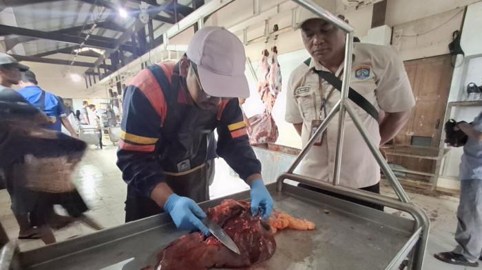 ORGAN DALAM SAPI KURBAN - Dokter hewan DKPP Tarakan, drh Richard Situmorang, Medik Veteriner DKPP Tarakan bersama Kabid Peternakan DKPP, Paulus menunjukkan proses pengecekan pada organ sapi setelah dipotong. Seperti jantung, hati dibelah diperiksa sampai detail di bagian dalam organ untuk dicek agar saat sampai di masyarakat aman dikonsumsi.