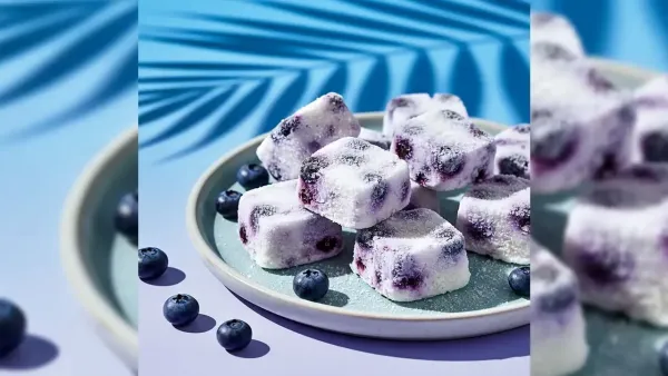 Frozen yogurt blueberry cubes dusted with desiccated coconut on a gray plate under a palm shadow.