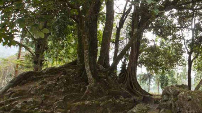SITUS BERSEJARAH - Situs Candi Planggatan di Karanganyar, Jawa Tengah. Inilah asal-usul Situs Candi Planggatan yang dipercaya ada kaitannya dengan Prabi Brawijaya V.