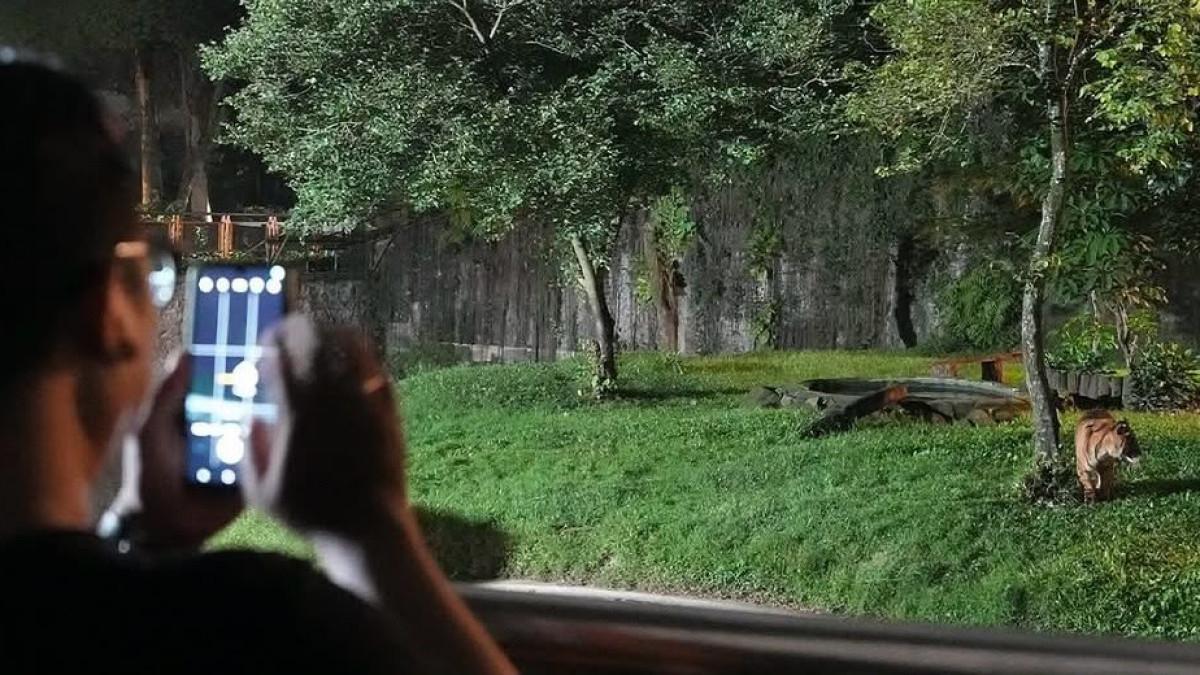 HARGA TIKET - Ragunan Zoo dengan melihat lebih dari 2.000 satwa dan suasana hijau di tengah Jakarta.
