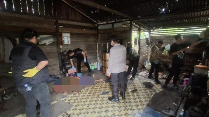 DITEMUKAN MENINGGAL- Seorang pria lanjut usia berinisial AK (70) ditemukan meninggal dunia di dalam pondok kebun miliknya di Dusun Harapan, Desa Bunga Tanjung, Kecamatan Betara, Kabupaten Tanjung Jabung Barat,  Provinsi  Jambi pada Jumat (29/5/2026).  
