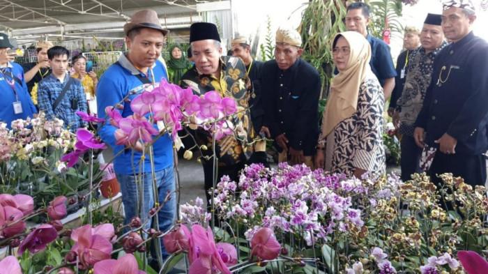 Wahyono Pemilik Anggrek Zilquin