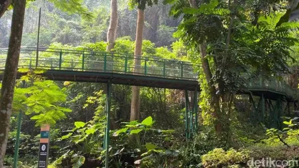 Hutan Kota Babakan Siliwangi, Bandung