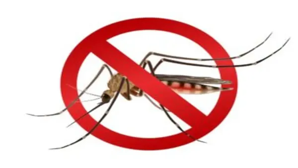 Google Mosquito Control Project