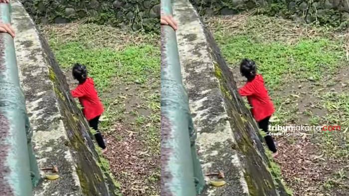 BOCAH TERJATUH - Tangkap layar video viral yang memperlihatkan seorang bocah perempuan terjatuh ke dalam kandang gajah di Taman Margasatwa Ragunan (TMR), Jakarta Selatan.