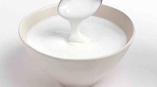 yogurt