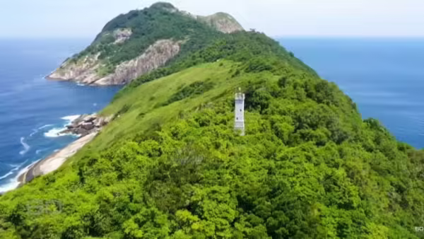 Disturbing facts about Snake Island: From tourist bans to chilling lighthouse legends