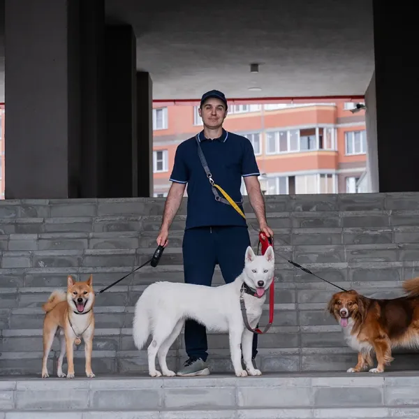 man walking many dogs as full time business