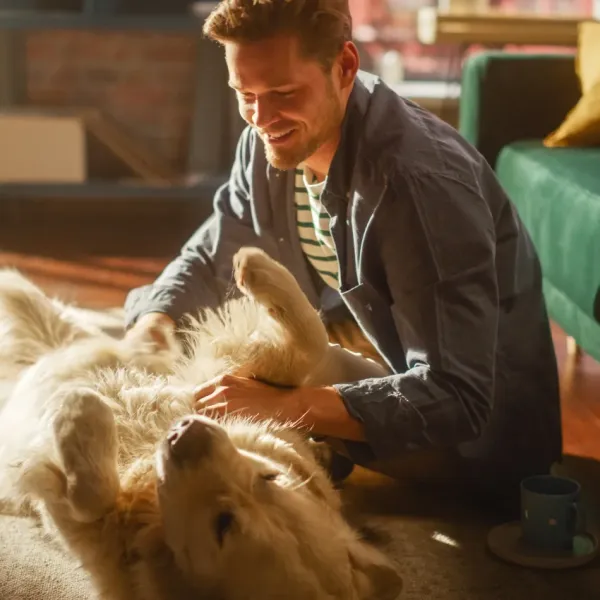 smiling male owner rubbing dog's belly happy dog because owner is not stressed out
