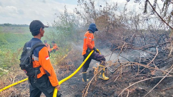 MEMADAMKAN - Petugas BPB-PK Kalteng bersama tim Masyarakat Peduli Api (MPA) melakukan pemadaman kebakaran lahan di kawasan rawan Karhutla di Palangka Raya, beberapa waktu lalu.Bekas lahan kosong yang terbakar di Jalan Kayu Maranti, Palangka Raya, Selasa (2/6/2026).