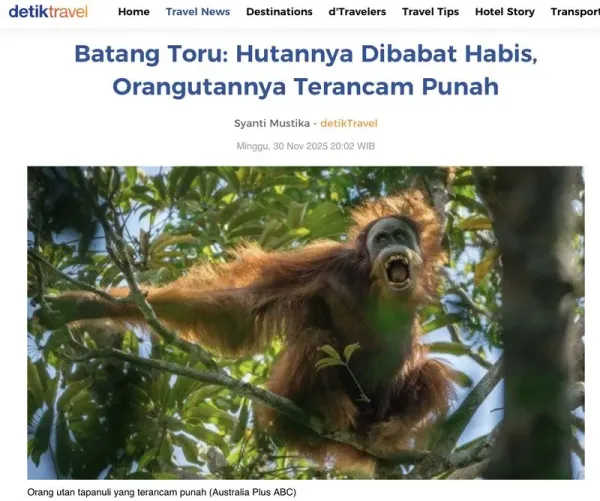 Arsip berita petaka di hutan Batangtoru