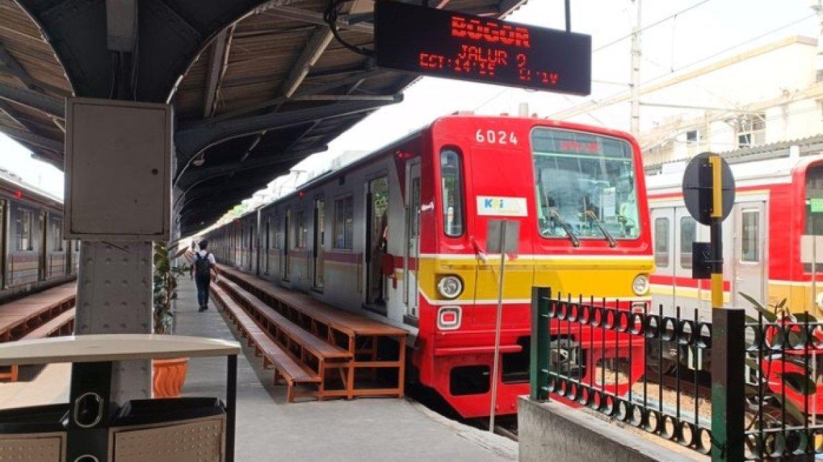 Ajak anak liburan ke Taman Safari Bogor, simak rute naik KRL dan bus dari Jakarta yang lebih hemat untuk keluarga.
