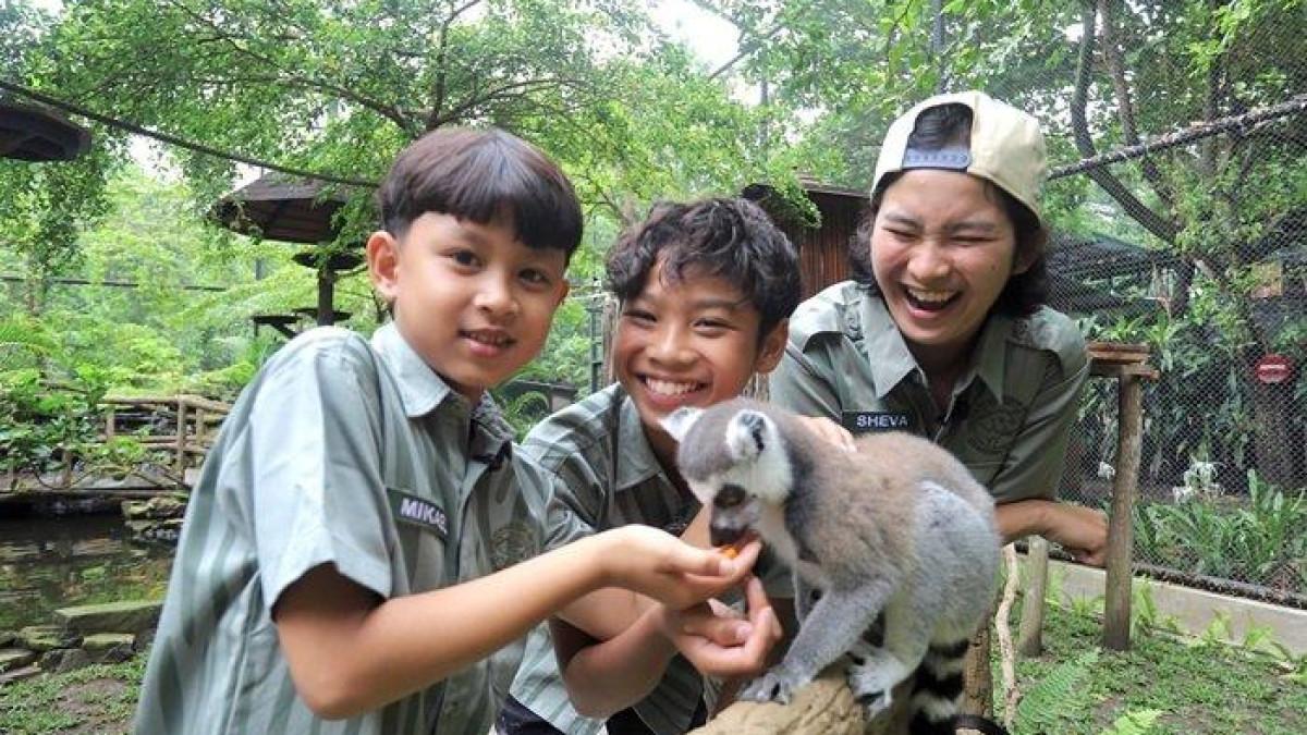 GEMBIRA LOKA ZOO - Pengunjung berinteraksi dengan satwa di Gembira Loka Zoo.