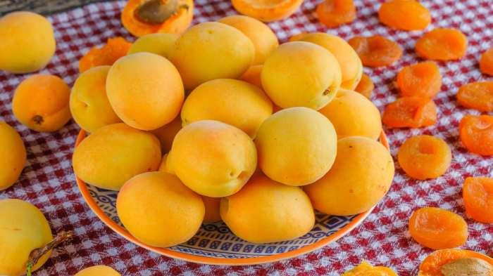 manfaat Aprikot