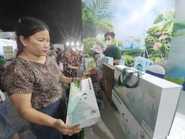 yến đảo - Ảnh 1.