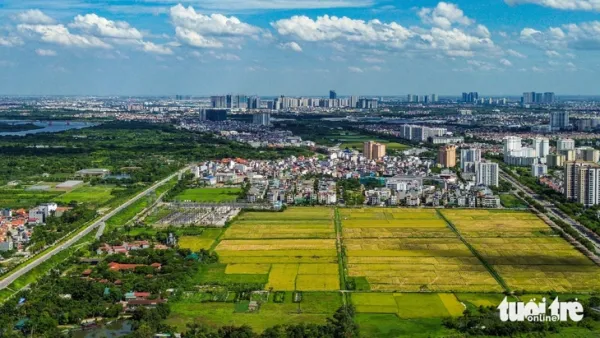 cầu Đuống - Ảnh 21.
