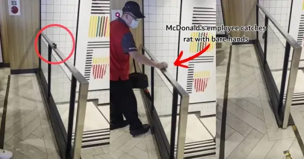 Tangkap Tikus dengan Tangan Kosong, Aksi Pegawai McD Ini Viral