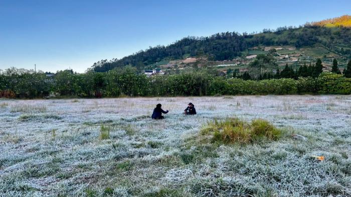 HAMPARAN EMBUN UPAS - Wisatawan mengambil foto di hamparan embun es yang menyelimuti kawasan Candi Arjuna Dieng, Kabupaten Banjarnegara, Jawa Tengah, Selasa (9/6/2026). Suhu udara di kawasan tersebut terpantau menyentuh minus 1 derajat Celsius.