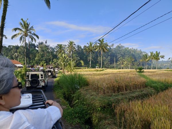 Bali - Ảnh 3.