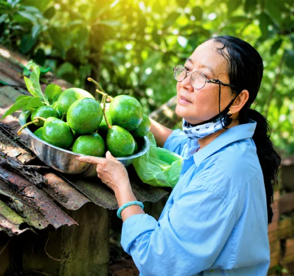 Canh bơ non nhồi thịt từ những trái bơ rụng sau mưa dông - Ảnh 4.