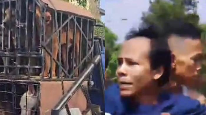 BOCAH TEWAS DIGIGIT ANJING - Penampakan anjing pemburu (KIRI). Solehudin ayah bocah yang tewas (KANAN). Emosi Ayah Bocah yang Tewas Digigit Anjing Pemburu di Jasinga Bogor