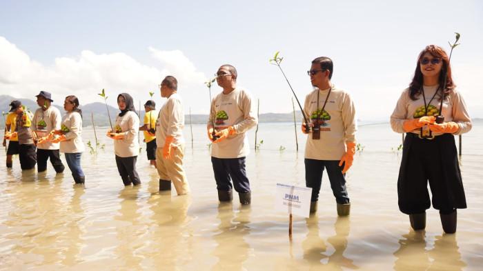 JAGA LINGKUNGAN - Para pegawai dan direksi Permodalan Nasional Madani (PNM) melaksanakan penanaman mangrove di kawasan pantai untuk menjaga lingkungan pesisir pantai