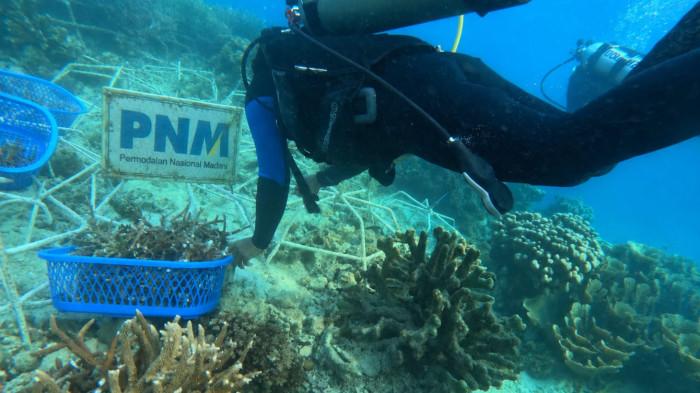 PNM jaga ekosistem Laut