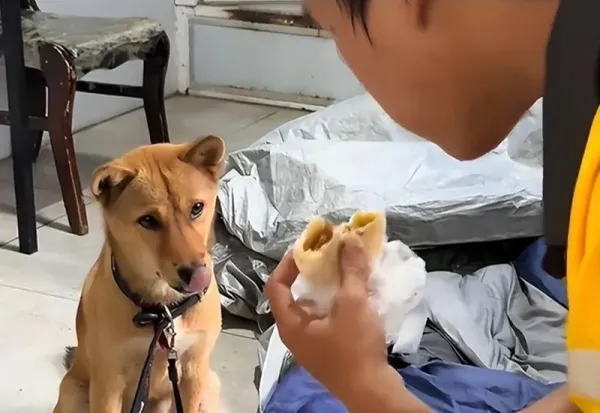 Kurir Makanan Ini Tinggal di Kolong Jembatan Demi Nabung Biaya Kuliah
