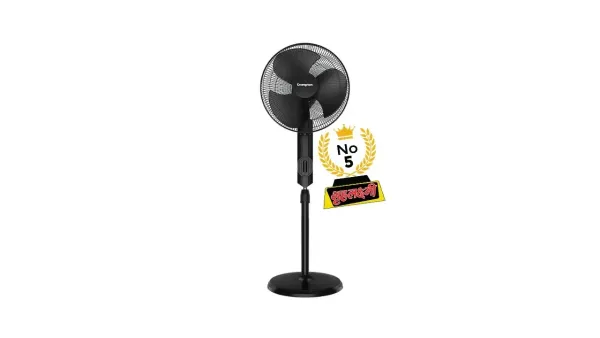 Pedestal Fan