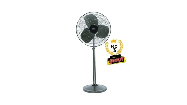 Pedestal Fan