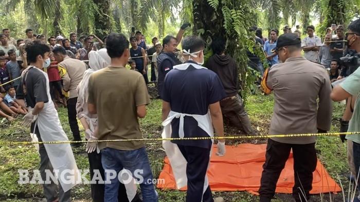 EVAKUASI MAYAT — Personil kepolisian saat mengevakuasi mayat sosok pria yang  pohon sawit di Desa Air Bulin, Kecamatan Kelapa, Bangka Barat, Kamis (11/6/2026) siang.