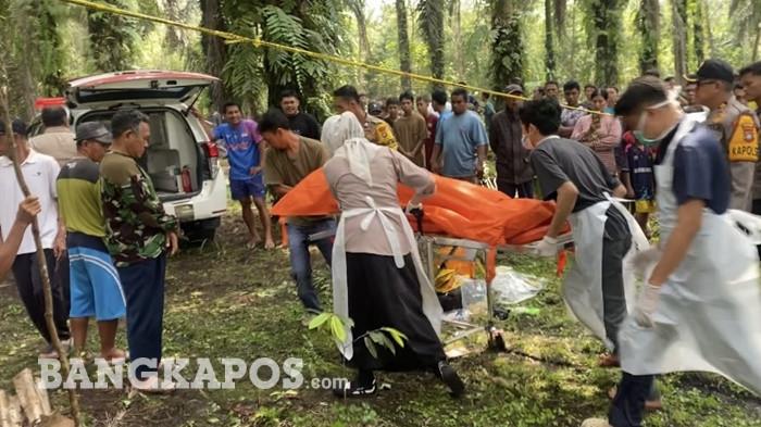 EVAKUASI MAYAT — Personil kepolisian saat mengevakuasi mayat sosok pria yang  pohon sawit di Desa Air Bulin, Kecamatan Kelapa, Bangka Barat, Kamis (11/6/2026) siang.