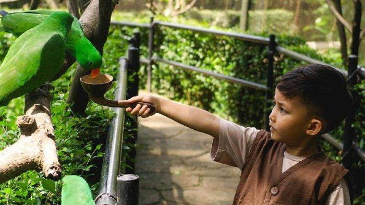 BANDUNG ZOO - Pengunjung liburan ke Kebun Binatang Bandung dan berinteraksi dengan satwa burung.