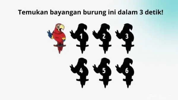 asah otak